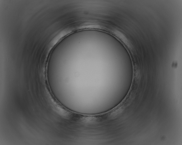 X0000093601282200710221540