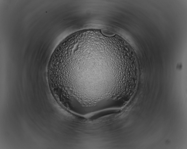 X0000093601283200710221540