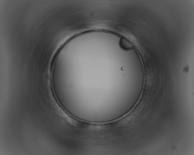 X0000093601286200710221540