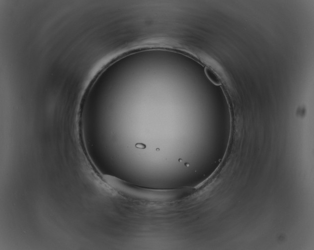 X0000093601288200710221540