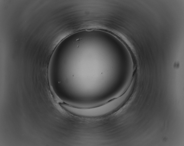 X0000093601289200710221540