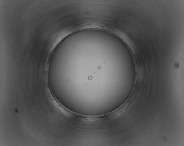 X0000093601290200710221540