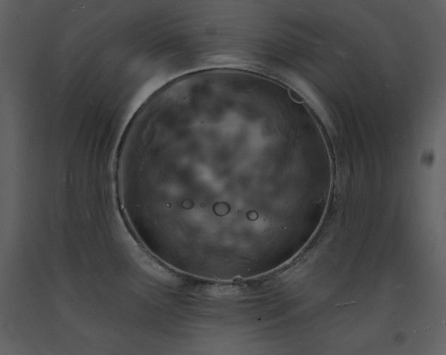 X0000093601291200710221540