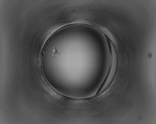 X0000093601292200710221540