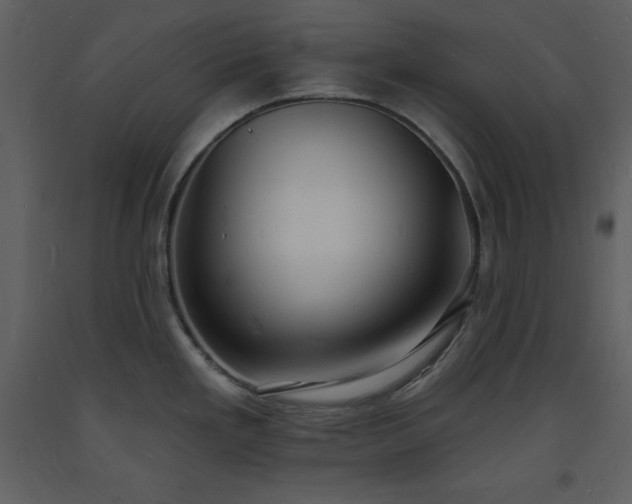 X0000093601293200710221540