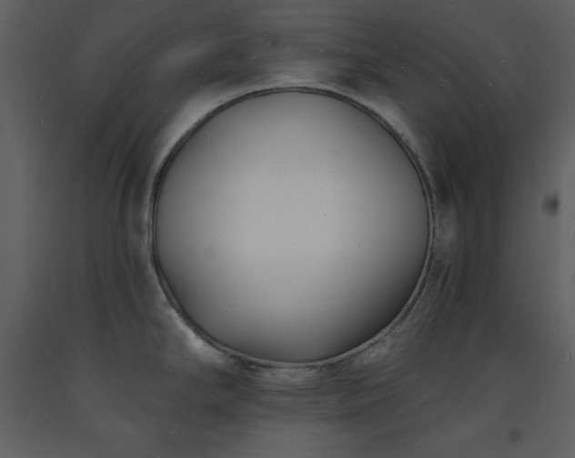 X0000093601294200710221540