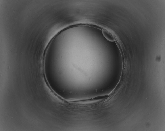 X0000093601295200710221540