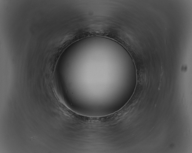 X0000093601297200710221539