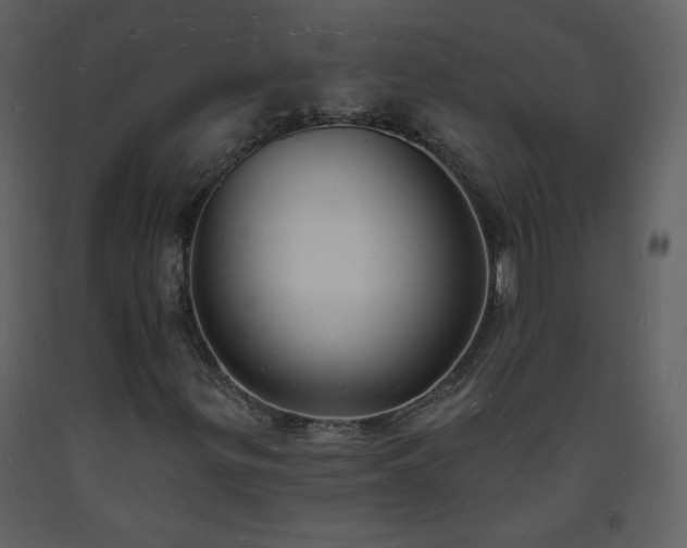 X0000093601299200710221539