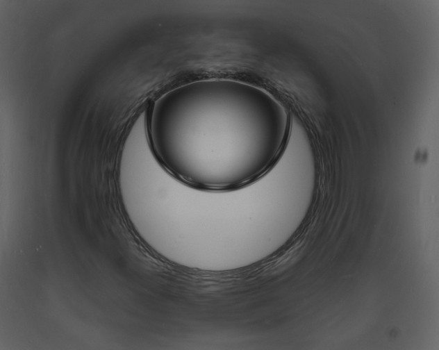 X0000093601300200710221539