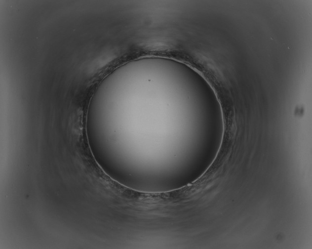 X0000093601301200710221539