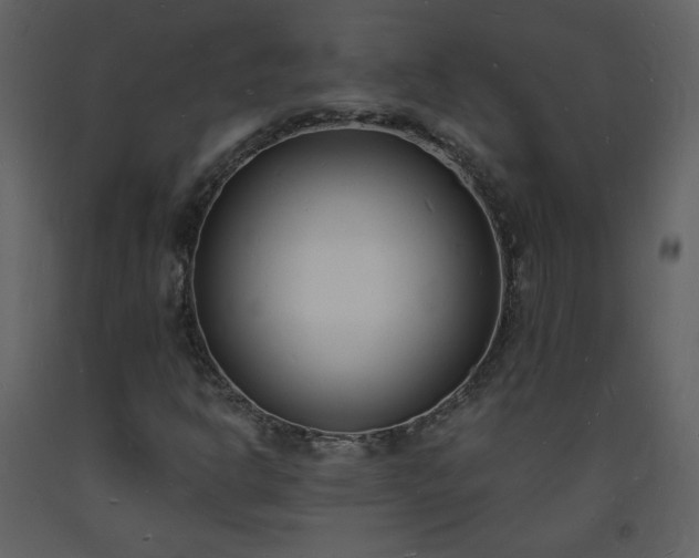 X0000093601302200710221539