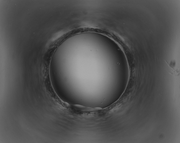 X0000093601303200710221539