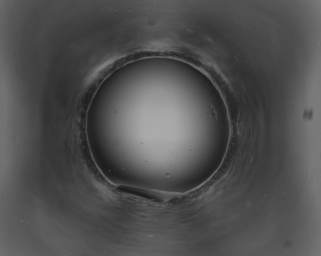 X0000093601304200710221539