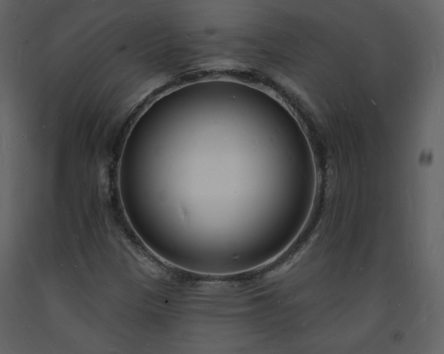 X0000093601305200710221539