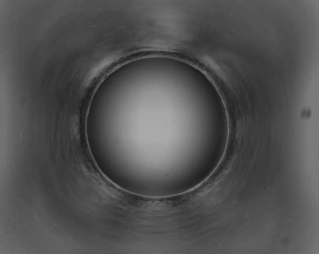 X0000093601307200710221539