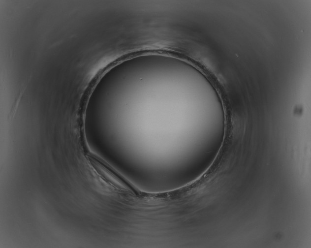 X0000093601308200710221539