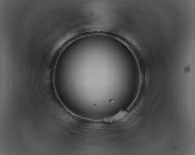 X0000093601309200710221539