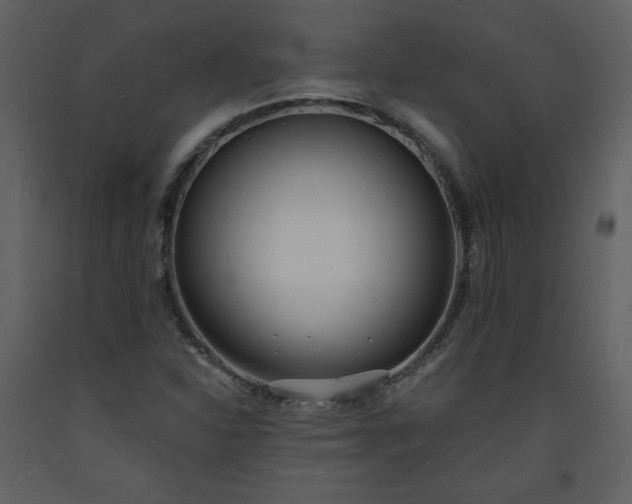 X0000093601310200710221539