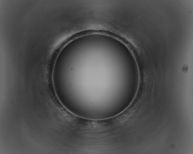 X0000093601311200710221539