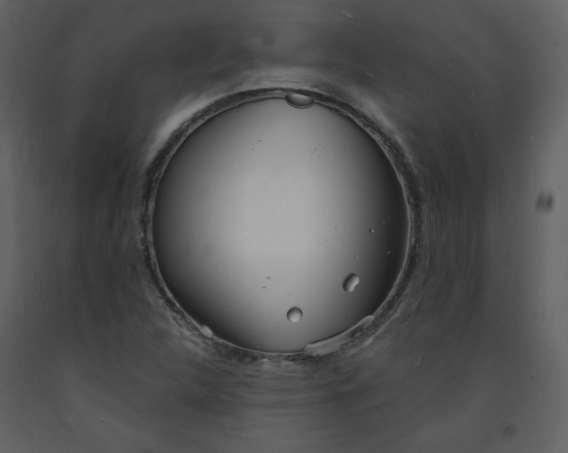 X0000093601312200710221539