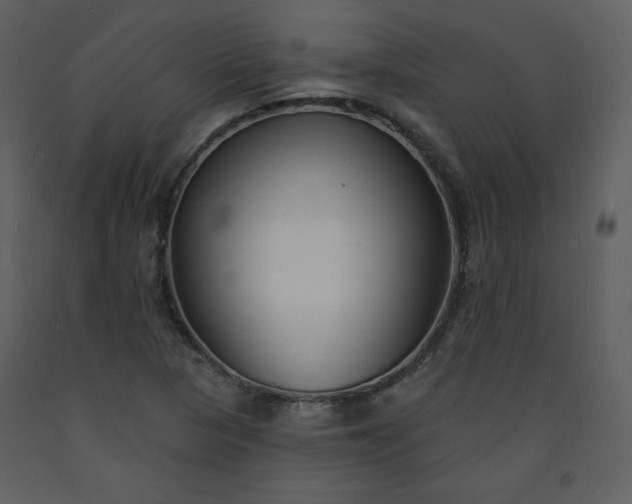 X0000093601313200710221539