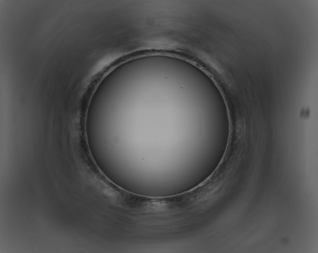 X0000093601315200710221539