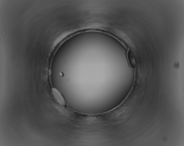 X0000093601316200710221539