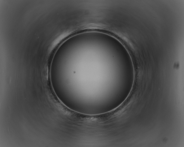 X0000093601317200710221539