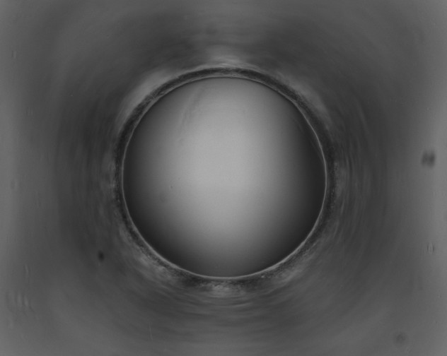 X0000093601318200710221539