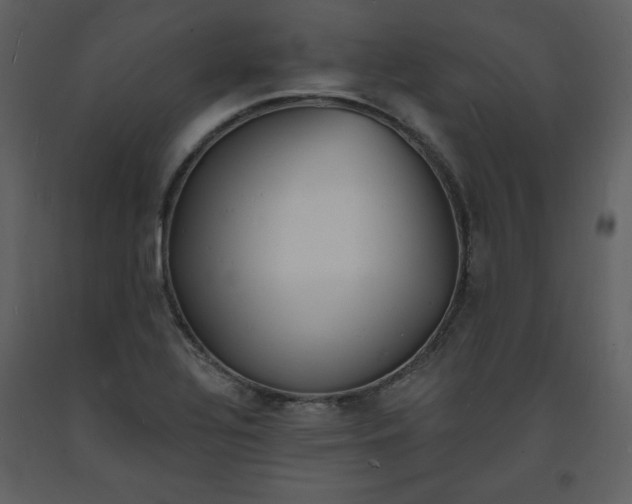 X0000093601320200710221539