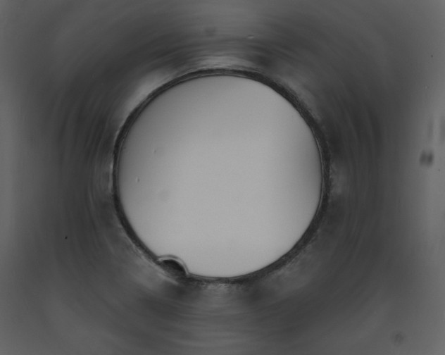 X0000093601322200710221540