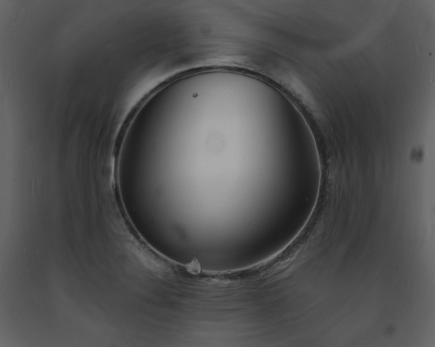 X0000093601324200710221540