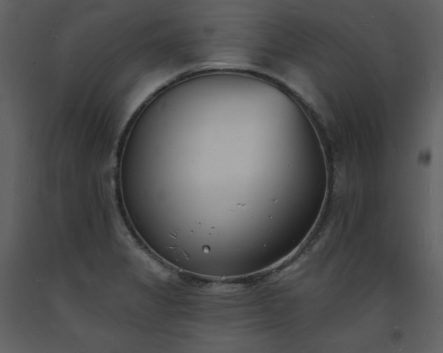 X0000093601325200710221540