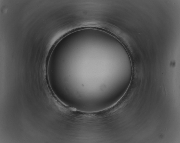 X0000093601328200710221540