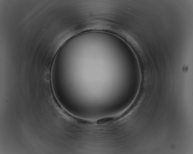 X0000093601329200710221540