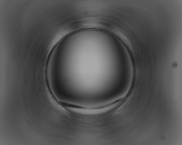 X0000093601330200710221540