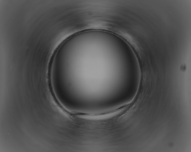 X0000093601331200710221540