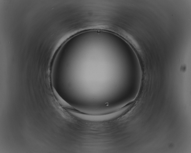 X0000093601332200710221540