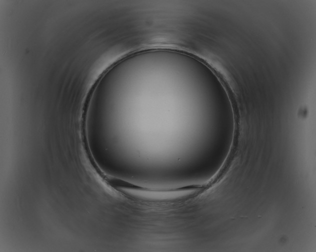 X0000093601333200710221540