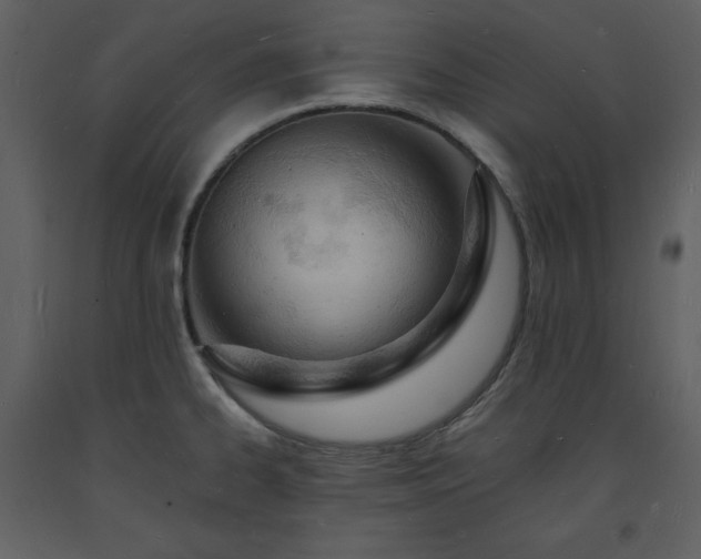 X0000093601334200710221540