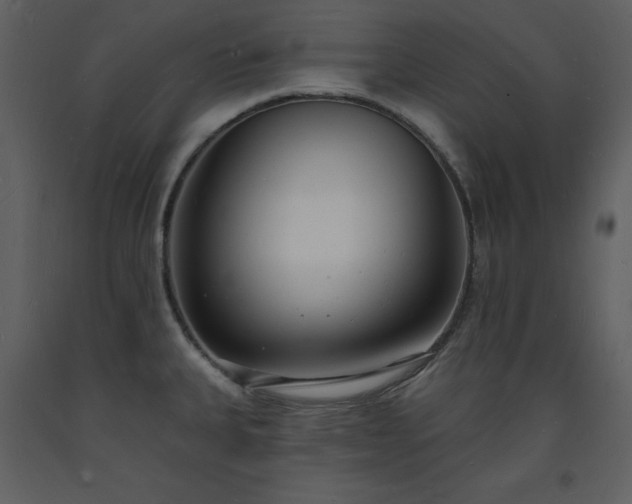 X0000093601335200710221540