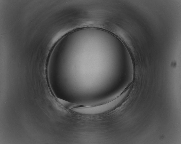 X0000093601336200710221540