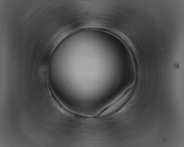 X0000093601337200710221540