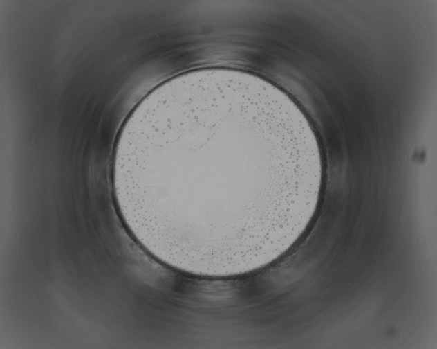 X0000093601338200710221540