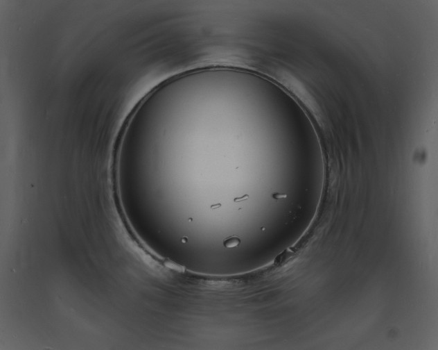 X0000093601339200710221540