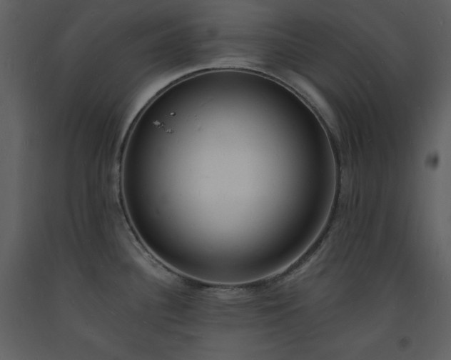 X0000093601340200710221540