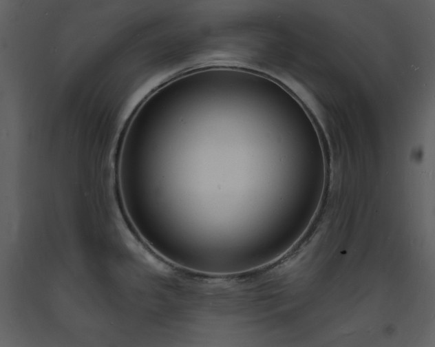 X0000093601341200710221540