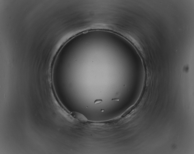 X0000093601342200710221540