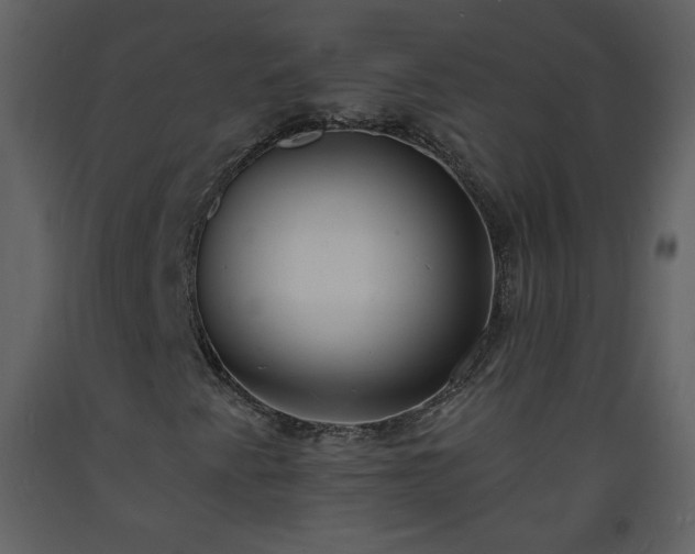 X0000093601345200710221539